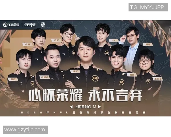 王者荣耀实力排行榜揭晓RNG战队荣登第五名引发热议